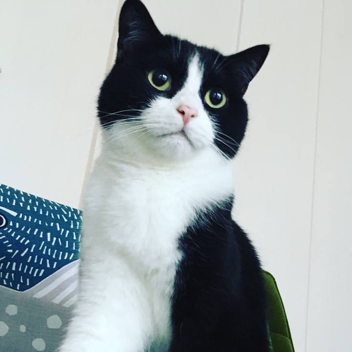 3c0d5503 7f64 451a be87 2a5a8c729193 1658781144120