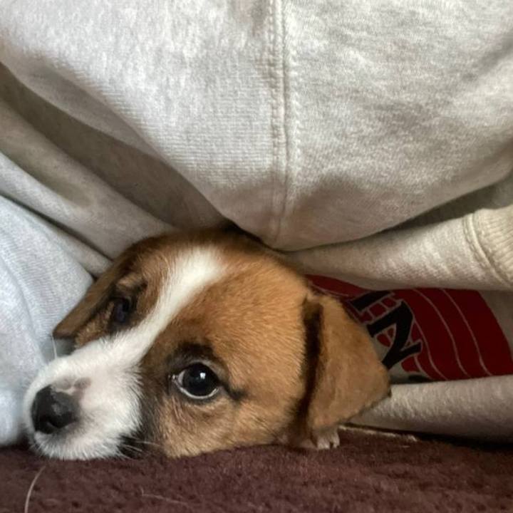 3c0d64c1 9c15 498a b3e0 dde97def7ded 1772516330794