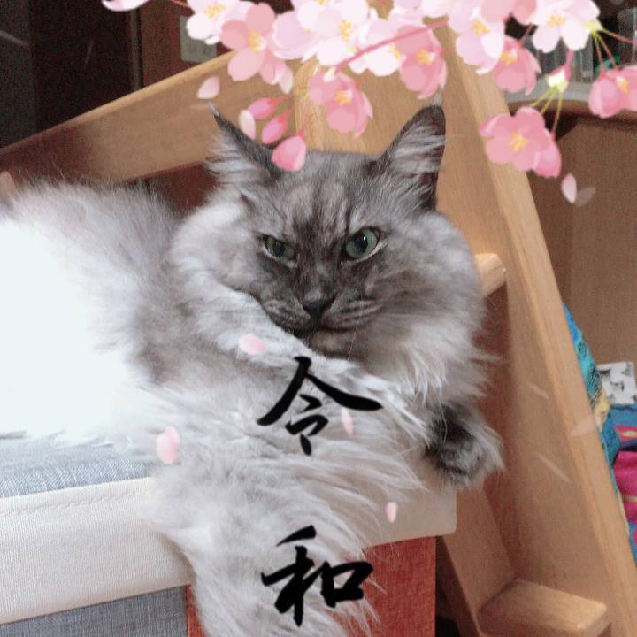 3c0df8d6 eed4 4270 b887 17ec353e4fee 1556758907597