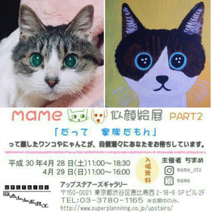 3c0e113a 745b 46e2 8fc7 06fe023e7772 1523068663659