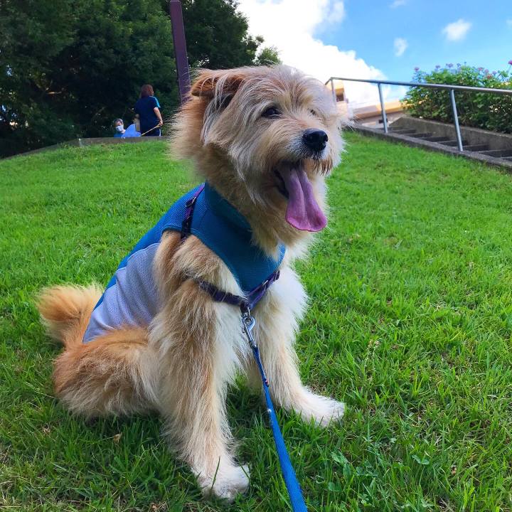 3c0e7173 bf2f 4cf6 b92d c5d09a5c751d 1626956436737