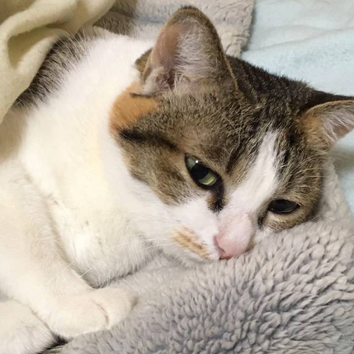 3c0e974e 91ba 4640 a671 c264ae4064c2 1610058392105