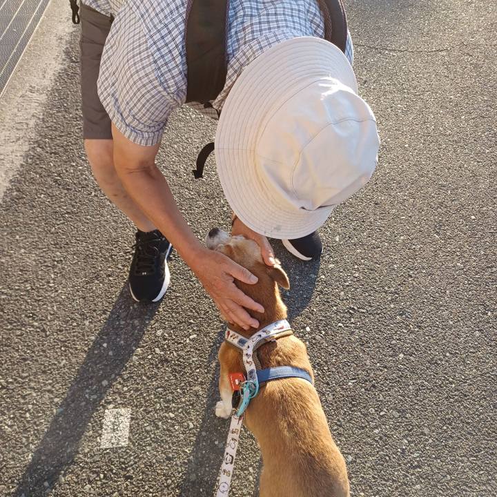 3c0ea1ac 5dce 48ee b590 f9eeb97e7d8d 1753392699840