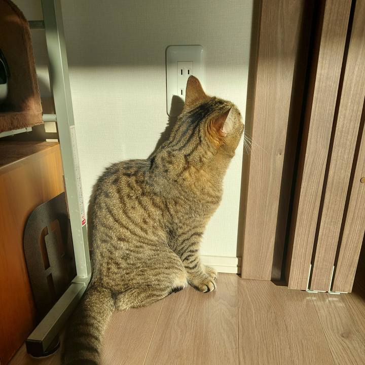 3c0eb407 5f05 4c71 ab60 a347494819e4 1733529969928