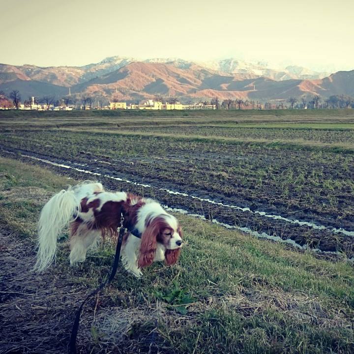 3c0ecbfe 41f4 4322 ac3e 80477659a195 1511855170219