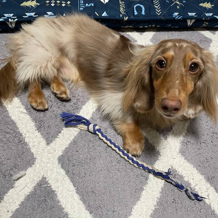 3c0ecc96 ac67 4d5f a023 6f89eb027555 1767014470472