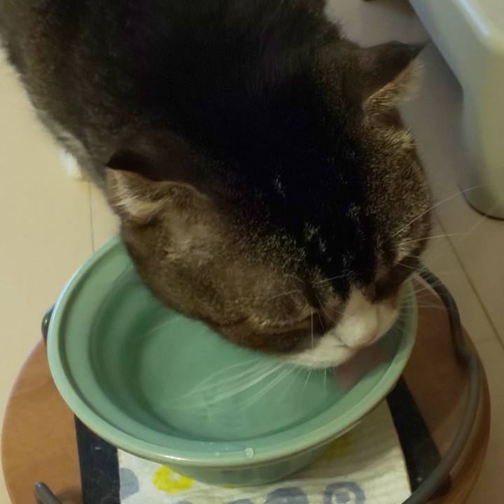 3c0f1d86 efbf 4852 9bb3 7f925e9ca5e9 1698706293946