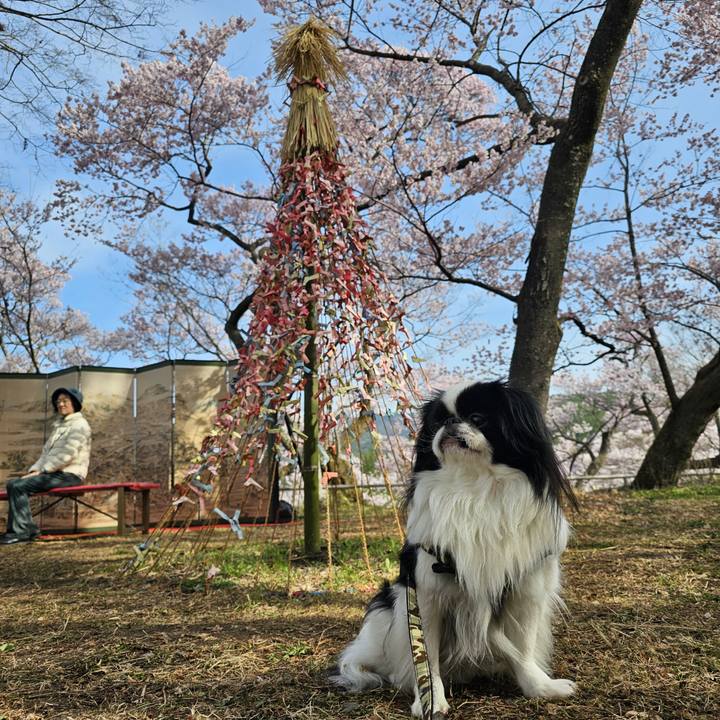 3c0f225b 1f4e 4ea4 9cc5 bf2bd0a9100b 1712878671907