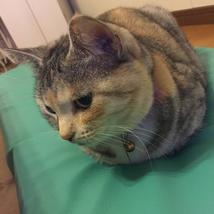 3c0f242d ce63 4127 9801 2a73e8025575 1557416114868