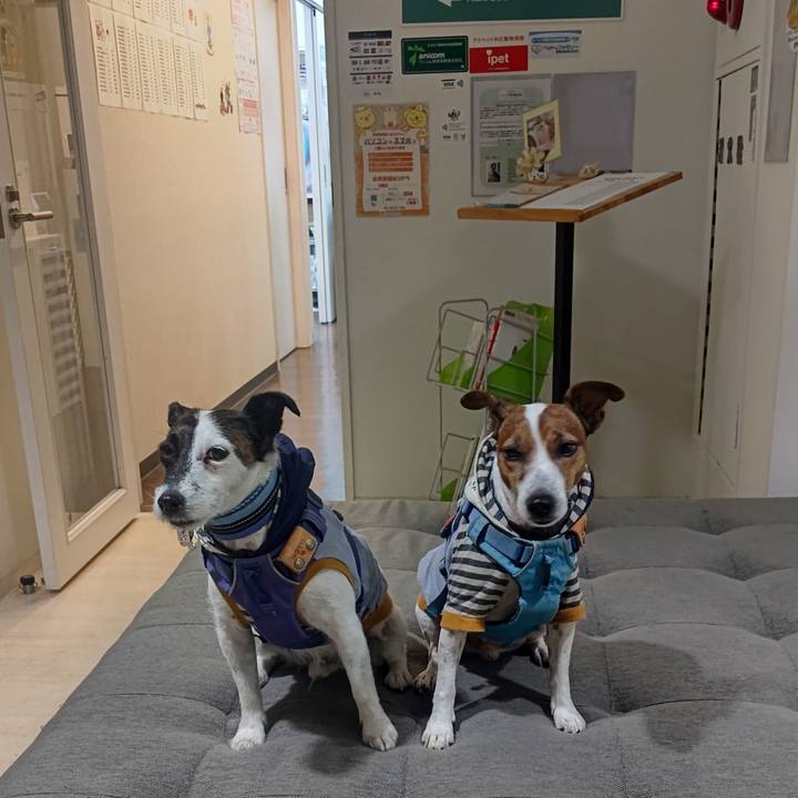 3c0fafa3 1e50 4704 9038 3118d53be724 1697796971006