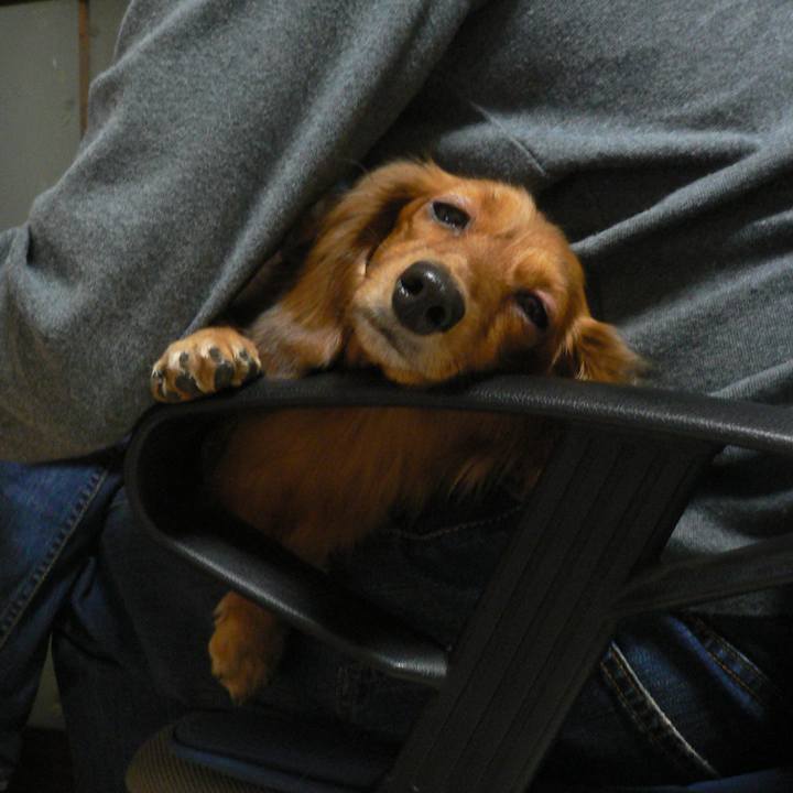 3c0fe899 48b4 477f bede 6e7a6a05251d 1528045665234