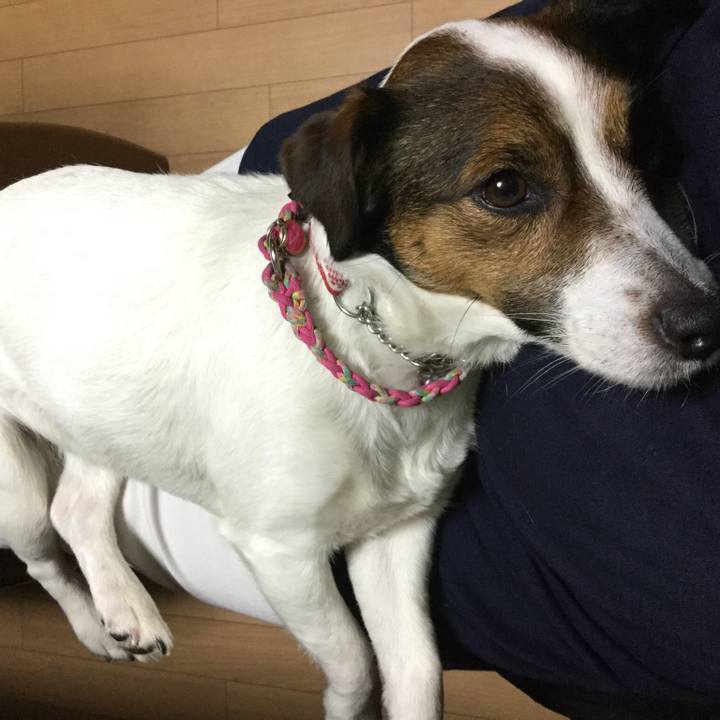 3c105d00 1180 412e 9c1e 1fd680e5e08d 1523359937219