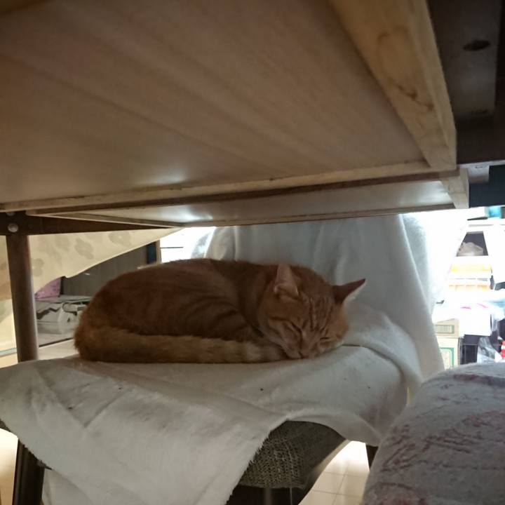 3c10a2d5 74b8 4d93 898a e97ea11b223c 1600027848798