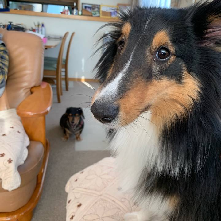 3c10e0ec 5ff1 4b4f 9ead 2168bdbe686b 1552689658458