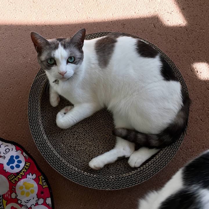 3c1108b0 4cd7 4dfc bf1f 090fdf75466f 1510194791421