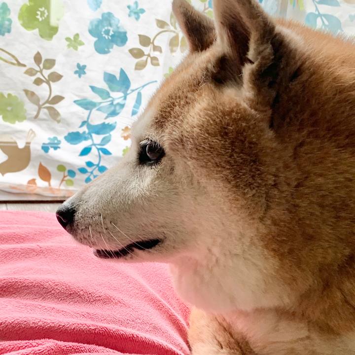 3c110ef6 fec1 4255 b101 5e4d08f9ecbc 1591419974729