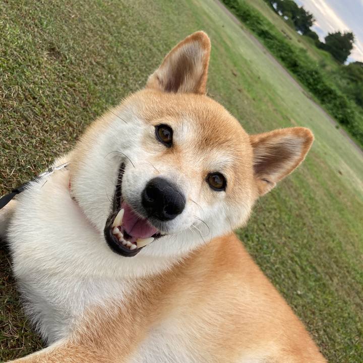 3c111add bd16 486c bb6b 864f8b40c0cd 1660279067826