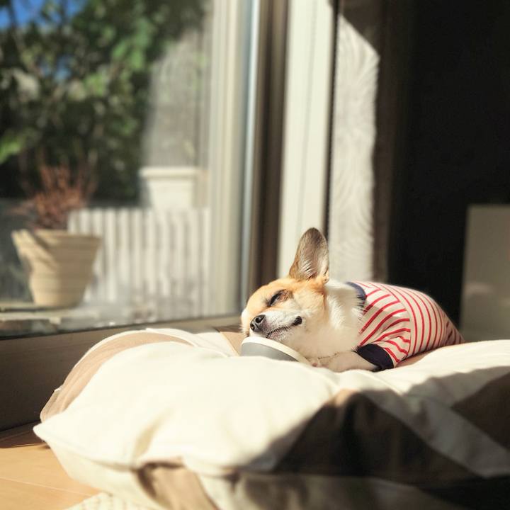 3c111f39 0444 4385 9e28 f036c1ea18a5 1666486503295