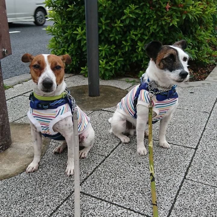 3c117907 9811 4829 afbb fb0d1ef347c6 1559080712807