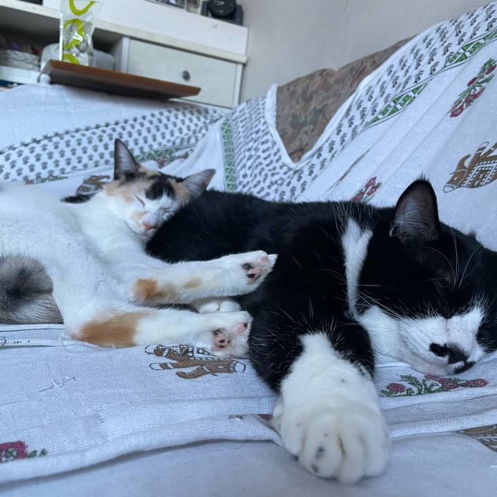 3c117986 962b 4e85 ae6a d680e70bc64c 1693900977198