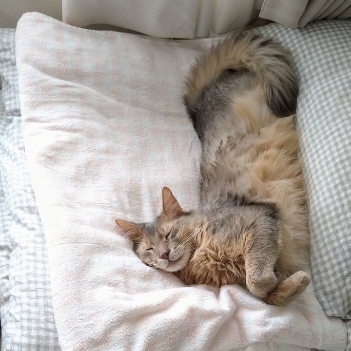 3c118b6e 5ec1 4c89 9563 36c00571805f 1622630796518