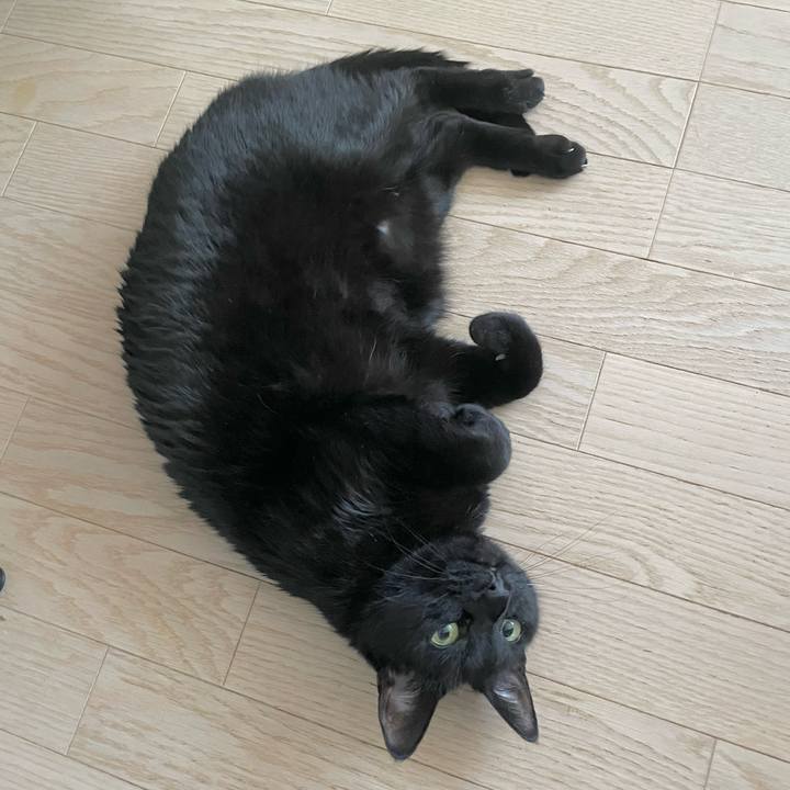 3c11c9de 07ed 4bb7 8fee f5bbc082ddd0 1705197960487