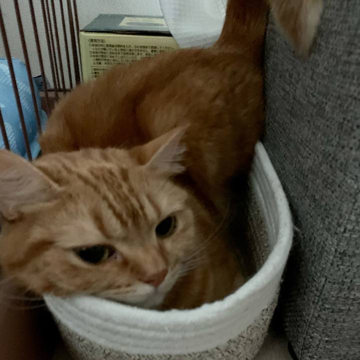 3c11f8ba 1a2b 448c a792 f94a19c738b7 1622760894292