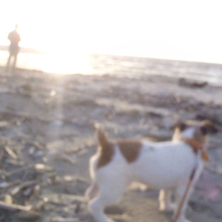 3c1203bd 00d3 4f0b 9935 39821869ed06 1537616185117