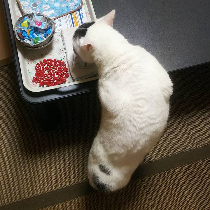 3c1223e3 1007 48ce abf7 f23b2dc516e1 1572257074761