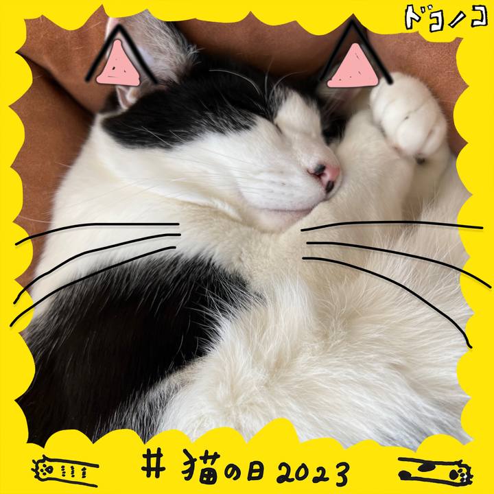 3c1230d5 35cf 4f50 b965 f41d2fe9c37a 1677046754992