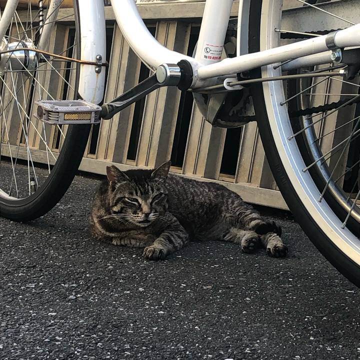 3c124284 a7b3 4cea 8be3 81d6efa0cdc4 1560777042588