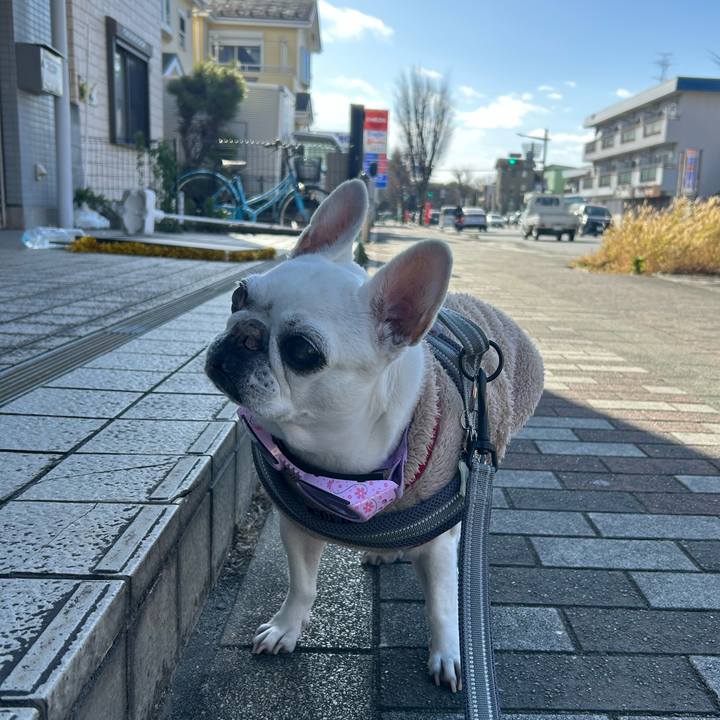 3c125a9b ae9e 4b14 a813 d640a0ad6fe5 1768136720873