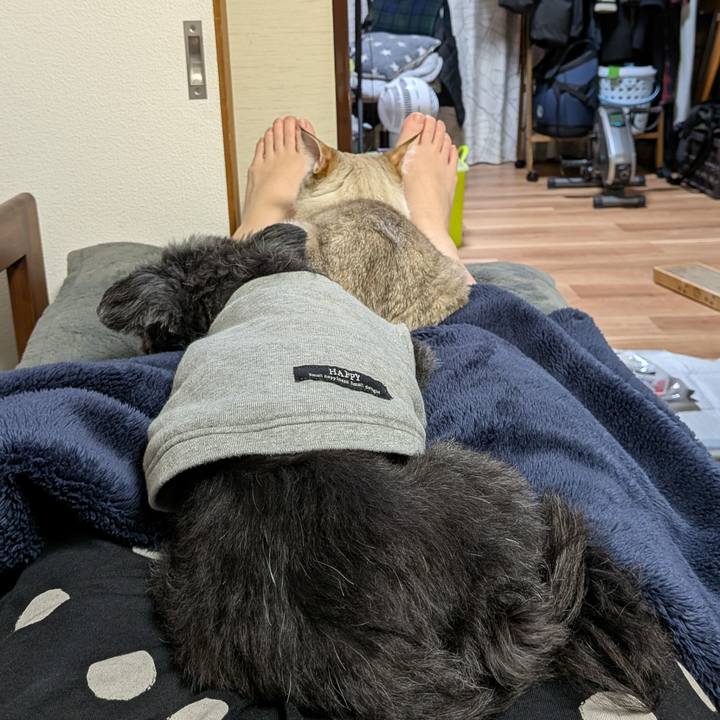 3c127d60 4e3e 420e b42c f919208e389f 1764595834620