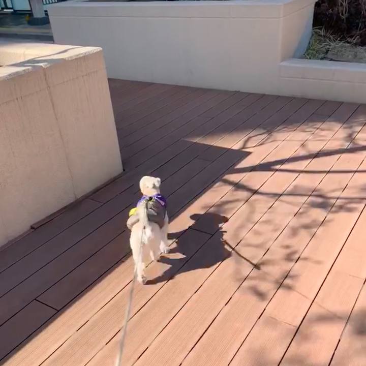 3c12ad46 3c99 4759 8d51 05488ec6e520 1550383619135