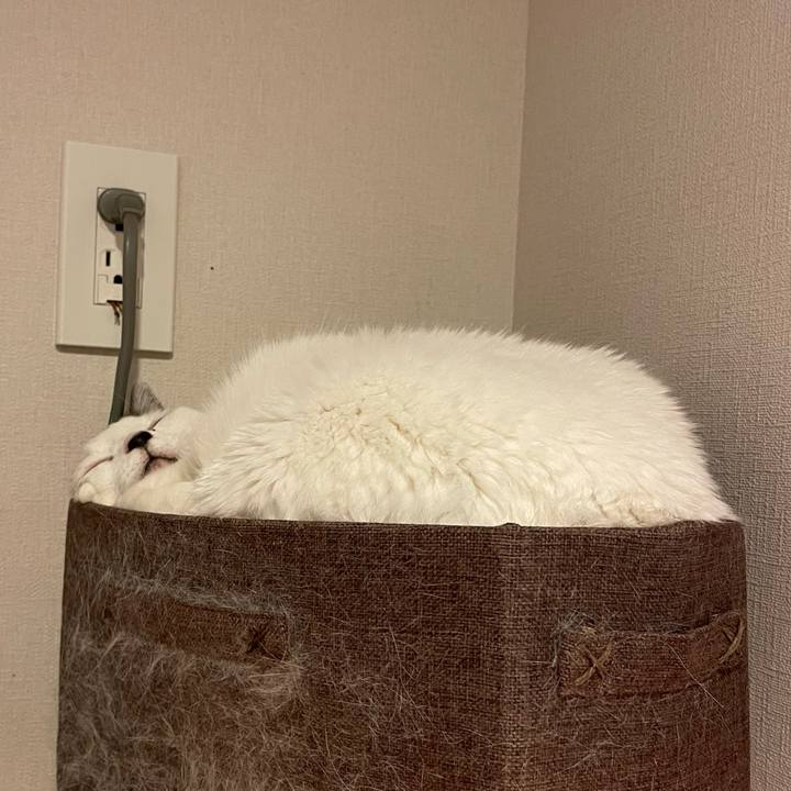 3c12bb5d 426c 49df bd66 12e7d3a20d2d 1745796989223