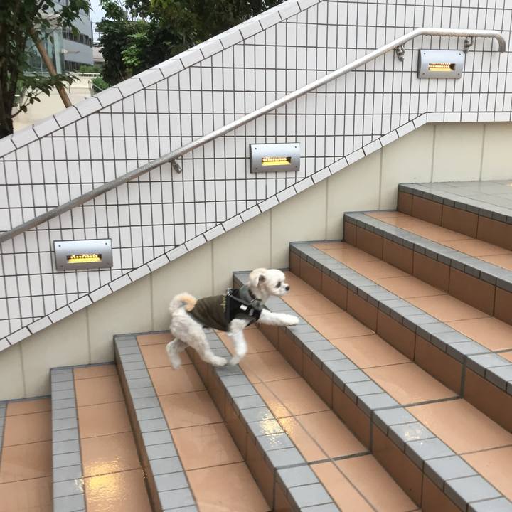 3c12c8c6 e1e3 4f0d 99cf 582e54134bbf 1508057636950