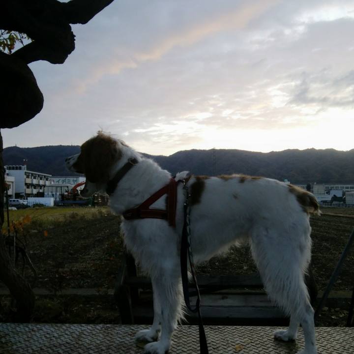 3c12daed 68be 4497 b1ad 85aca1b7eeb7 1543966711698