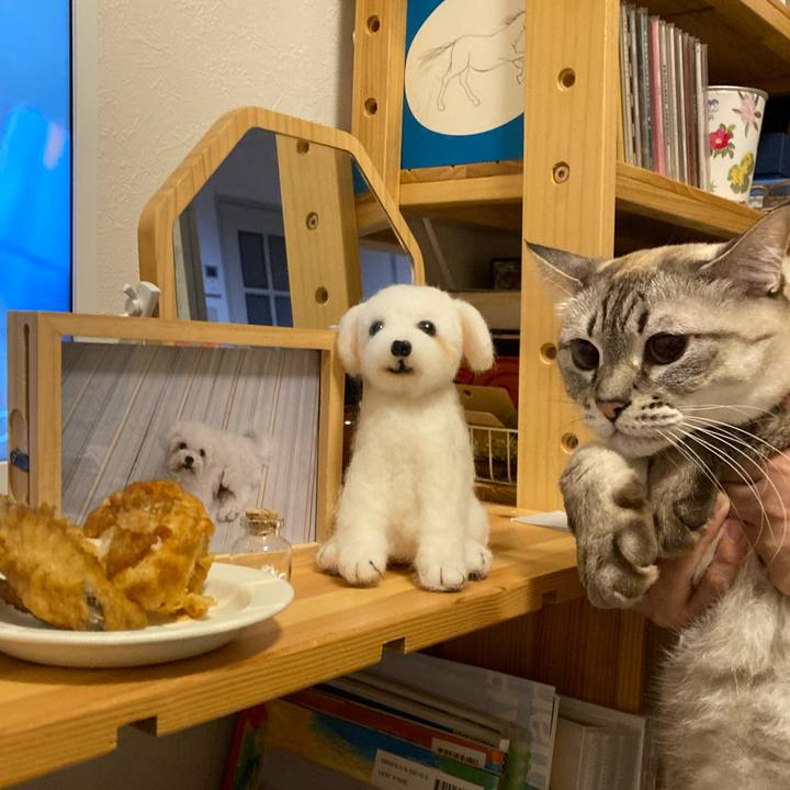 3c12e9b7 f150 49a6 9f01 71e0777c5074 1698413213714