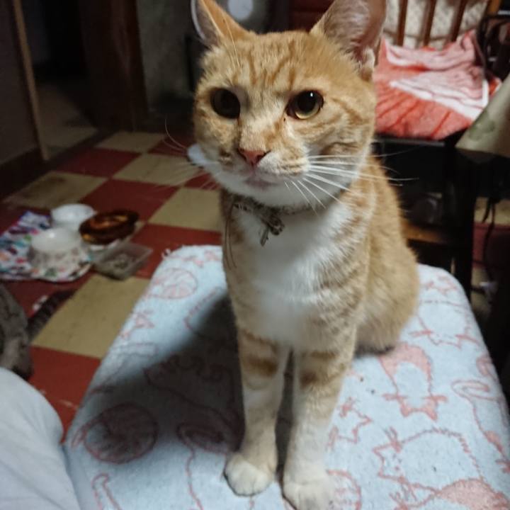 3c12ea7b 71c6 4a5d b485 31749d5a8279 1593459928874