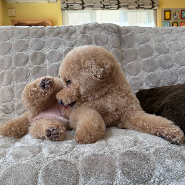 3c13084b 0d40 434d bfe8 b01634d944a0 1773790950392