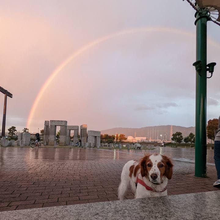 3c134912 d934 46b3 bb2e a17a8fa208cd 1636707885441