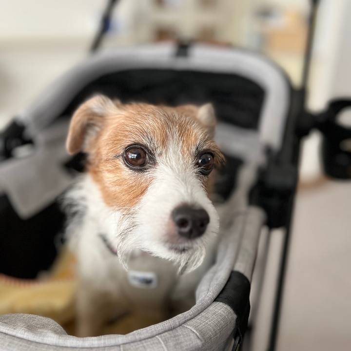 3c140111 06e9 4d0c 8965 426b876ba78e 1730952852753