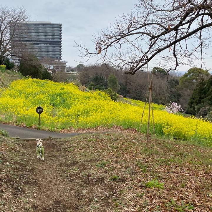 3c141828 5bb4 4b4f 830d dd87306729ec 1615109219247