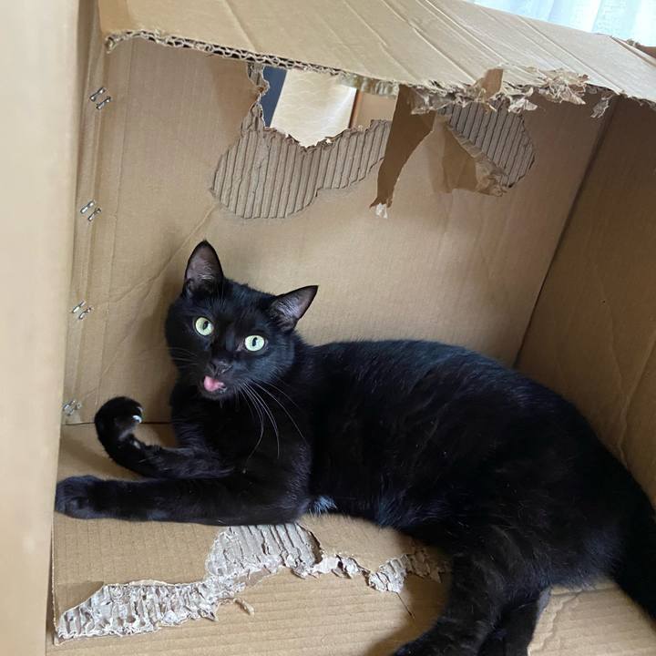 3c143c3d 4abf 4b68 9a70 11b6c8eeacf8 1660542744455