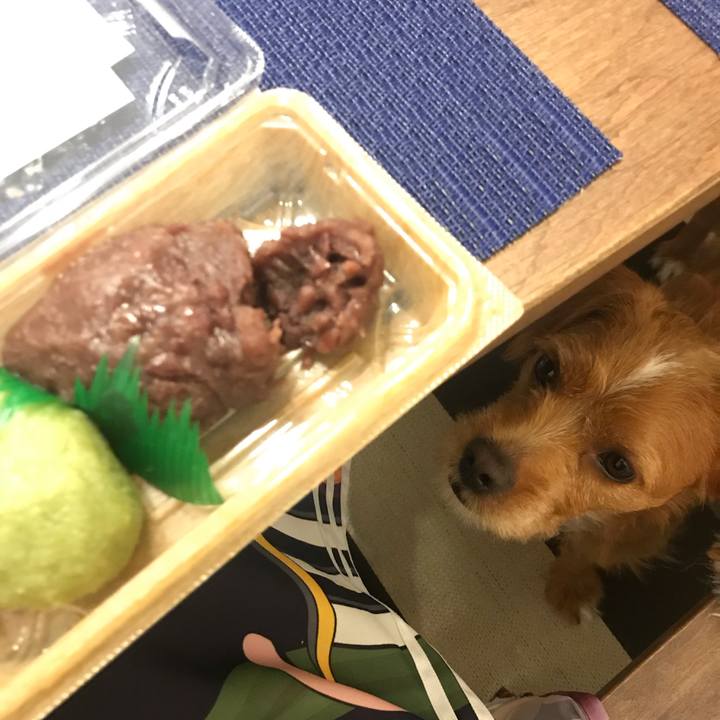 3c14830e bf8e 4dac 977b 786c0a772d83 1567335474408