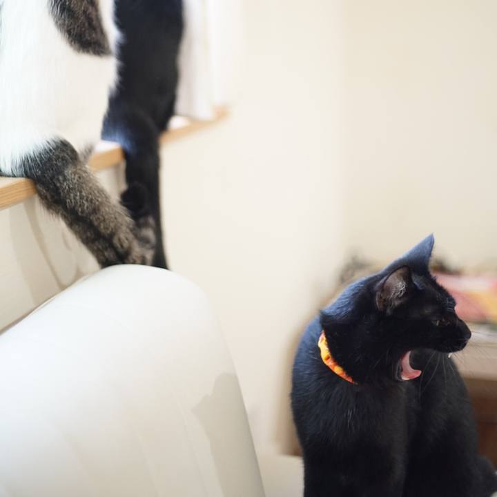 3c14a4e0 655c 4d48 bcef 53e30303c091 1524699082584