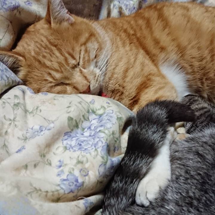 3c14fb51 a986 4bd2 969f 10aac6c7e23e 1576325591528