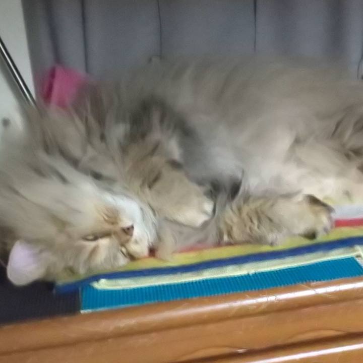 3c152fc6 47a0 45e7 a3cc 022f42265bd6 1611057661898