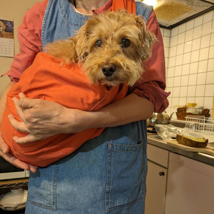 3c15429c 99e5 426e 8a32 7aa7e7991112 1719094823031