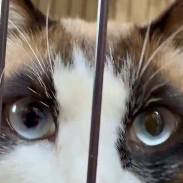 3c156717 9169 4dd9 a68e 7553e1abb99b 1772939877770